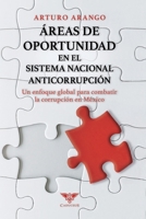 Áreas de oportunidad en el Sistema Nacional Anticorrupción (Spanish Edition) 9564240743 Book Cover