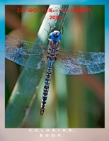 Dragonflies: Dragonflies coloring book null Book Cover