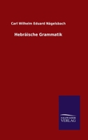 Hebräische Grammatik 1141991837 Book Cover