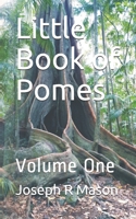 Little Book of Pomes: Volume 1. B08P7T5X14 Book Cover