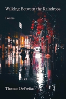 Walking Between the Raindrops 1639807047 Book Cover
