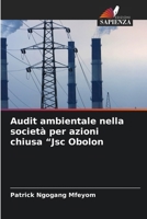 Audit ambientale nella società per azioni chiusa "Jsc Obolon (Italian Edition) 6208364566 Book Cover