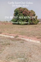 J'ai brûlé ma jeunesse (French Edition) 2414539976 Book Cover