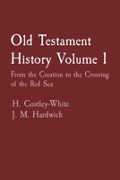 Old Testament History Volume 1: From the Creation to the Crossing of the Red Sea B0C92VGS9B Book Cover