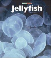Jellyfish: Sea Life (Naturebooks) 1567666132 Book Cover