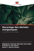 Recyclage des déchets inorganiques (French Edition) 6207001915 Book Cover