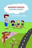 Grande Perigos Pequenos Cuidados B084DGVDVR Book Cover