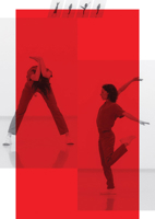 Character. Femke Gyselinck and Joris Kritis. Photography by Robbrecht Desmet 3753304999 Book Cover