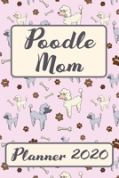 Poodle Mom 2020 Planner: Monthly Weekly Daily Cute Dogs Planner Simple Dated Week Day Month Calendar 2020 Daily Agenda And Schedule Organizer For School Family Work & Sports Space For Notes And Goals  1704303087 Book Cover