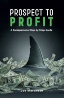 Prospect to Profit: A salespersons step by step guide B0DV99F3W1 Book Cover