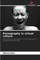 Pornography in virtual culture 6207385969 Book Cover