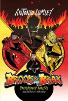 Brook and Brax: Undercover Ninjas 1733412905 Book Cover