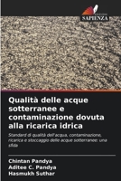 Qualità delle acque sotterranee e contaminazione dovuta alla ricarica idrica (Italian Edition) 6630011198 Book Cover