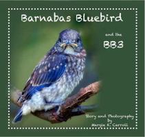 Barnabas Bluebird and the BB3 0984479341 Book Cover