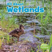 All about Wetlands 1515797678 Book Cover