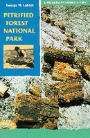 Petrified Forest National Park: A Wilderness Bound in Time 0816516294 Book Cover