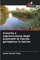 Crescita e sopravvivenza degli avannotti di Clarias gariepinus in bacino (Italian Edition) 6630207335 Book Cover