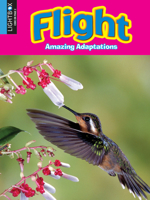 Flight 1510509240 Book Cover