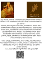 Torat Rachel - ״תורת רחל״ 1716898692 Book Cover