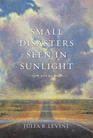 Small Disasters Seen in Sunlight: Poems 0807154539 Book Cover