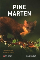 Pine Marten: The Secret Life of Martes Martes 1784274275 Book Cover