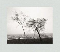 Los Angeles Spring (New Images Book) 3958296823 Book Cover