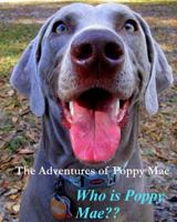 The Adventures of Poppy Mae: Who Is Poppy Mae? 1523358610 Book Cover