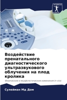 Воздействие пренатальн&# 6205338343 Book Cover