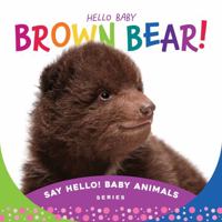 Hello Baby Bear! 1534112847 Book Cover