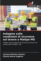 Indagine sulle condizioni di sicurezza sul lavoro a Matipó MG (Italian Edition) 6208164036 Book Cover