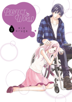 Perfect World, Vol. 3 1632369958 Book Cover