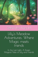 Lilly Meadow Adventures; Where Magic meets friends: In the Last Light; A Dozen Magical Tales of Lilly and Friends B0CVMXCF37 Book Cover