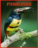 Pteroglossus: Découvrez les Pteroglossus et Admirez des Images Colorées B08WJTPSYX Book Cover