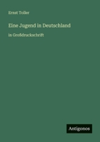 Eine Jugend in Deutschland: in Großdruckschrift (German Edition) 3566078794 Book Cover