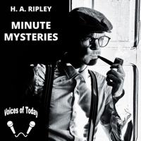 Minute Mysteries B000WU3ZM8 Book Cover