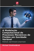 A Modelação Computacional de Processos Mecânicos de Fluidos em Gavidade Variável (Portuguese Edition) 6207861469 Book Cover