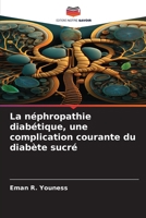 Diabetische Nephropathie als häufige Komplikation des Diabetes mellitus (German Edition) B0CJL28K5F Book Cover