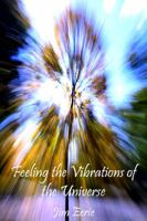 Feeling the Vibrations of the Universe 190796245X Book Cover