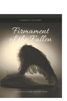 Firmament of the Fallen B09914NT6X Book Cover