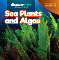 Sea Plants and Algae (Discover More: Marine Wildlife) 164190366X Book Cover