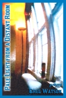 Pale Light From A Distant Room B08SG8V85D Book Cover