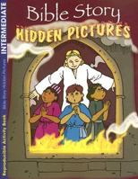 Bible Story Hidden Pictures: Coloring & Activity Book 1593171617 Book Cover