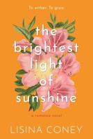 Brightest Light of Sunshine B0CD5XQFGD Book Cover