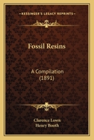 Fossil Resins: A Compilation 1120282284 Book Cover