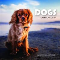 Dogs Calendar 2019: 16 Month Calendar 1728672724 Book Cover