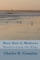 Here Now Is Madness: Sonnets from the Edge 1451542135 Book Cover