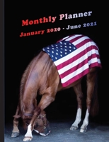 Monthly Planner January 2020 - June 2021: Combination Journal/Planner - 18 Months for Goals, Notes, Monthly Calendars, Rewards for Reaching Goals, What's Important, What's Not 1700617699 Book Cover