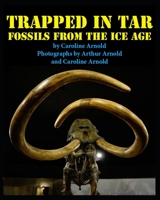 Trapped in Tar: Fossils from the Ice Age (A Junior Library Guild Selection) 0395547830 Book Cover