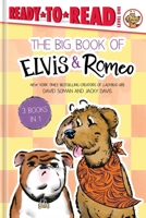The Big Book of Elvis & Romeo: Elvis & Romeo Go to Dog School; Elvis & Romeo Visit the Vet; Elvis & Romeo and the New Stuffie (An Elvis & Romeo Book) B0GPND1MT1 Book Cover