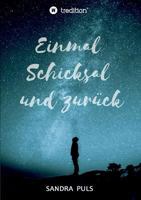 Einmal Schicksal und zurück 3746972639 Book Cover